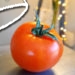 Que sait-on sur la tomate ?