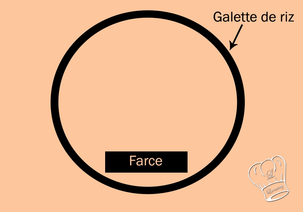 Explication pliage nems