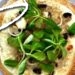 Pizza aux champignons creme fraiche et salade