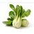 Pakchoi