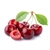 Cerises