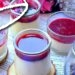 Panna cotta au coulis de fruits rouges