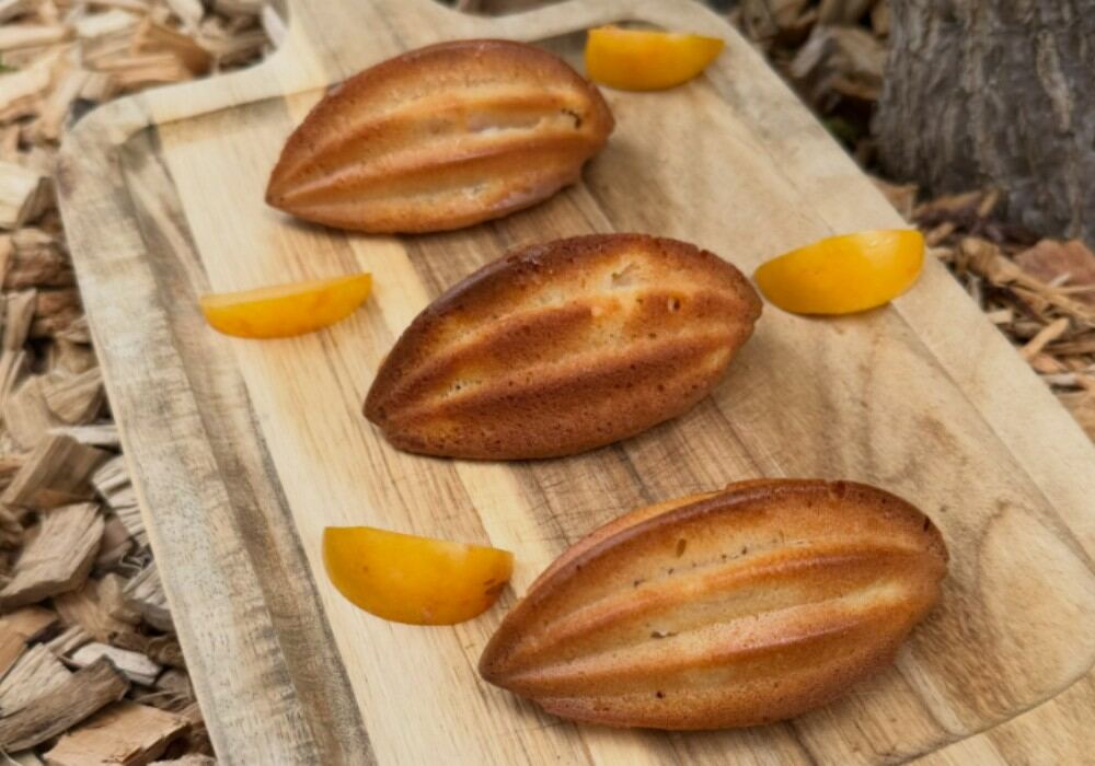 Cake moelleux aux prunes et amandes