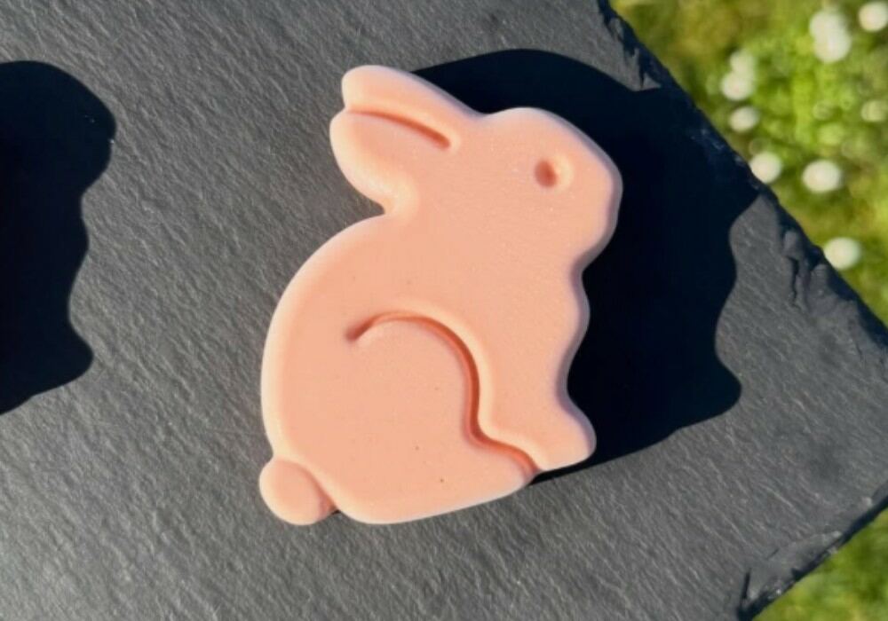 Panna cotta forme lapins fraise