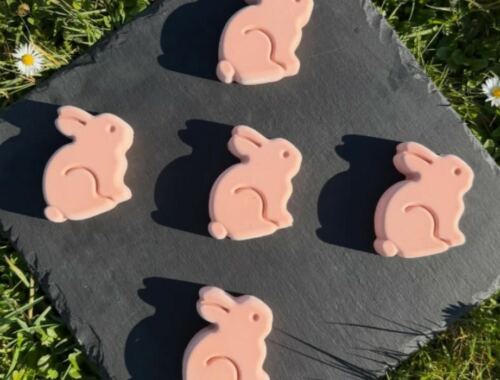 Panna cotta forme lapins fraise