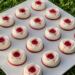 Panna cotta vanille & coulis de fruits rouges