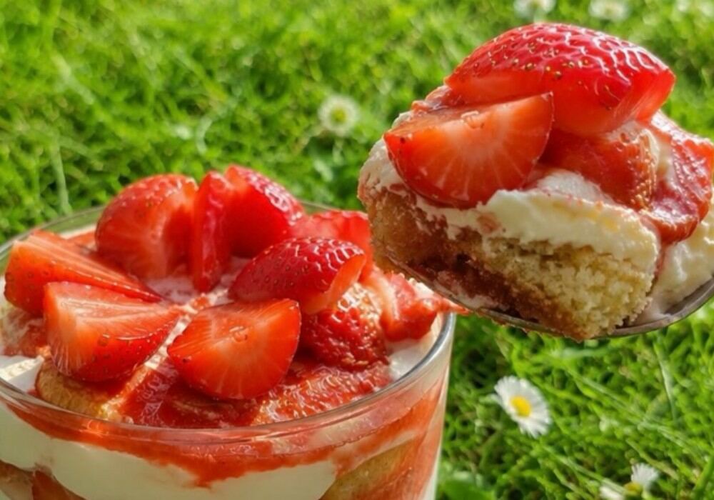 Tiramisu aux fraises